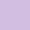 紫薰衣草